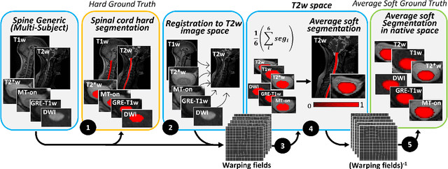 Figure 1 for Towards contrast-agnostic soft segmentation of the spinal cord