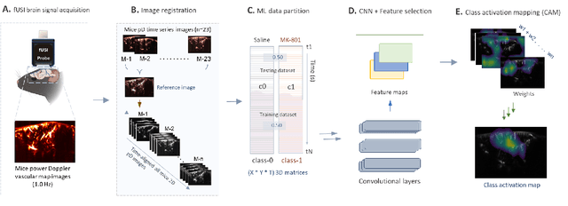 Figure 3 for Monitoring Drug-Induced Brain Activity Changes with Functional Ultrasound Imaging and Convolutional Neural Networks