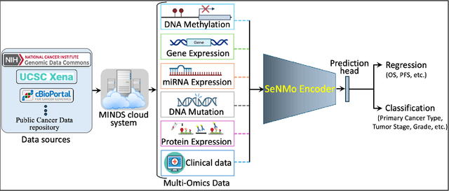 Figure 1 for SeNMo: A Self-Normalizing Deep Learning Model for Enhanced Multi-Omics Data Analysis in Oncology