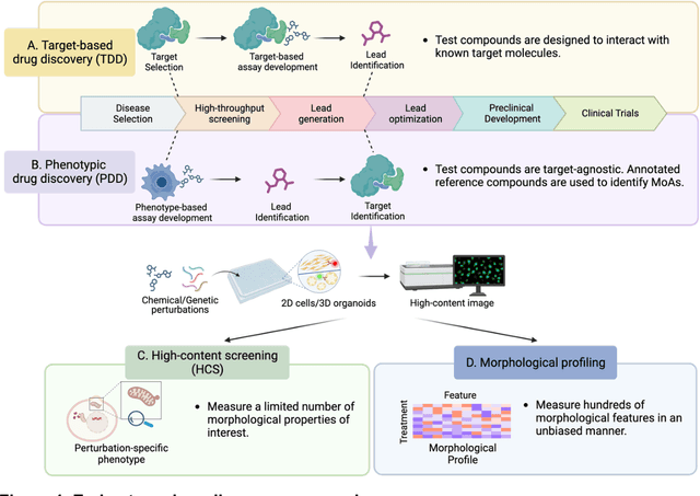 Figure 1 for Morphological Profiling for Drug Discovery in the Era of Deep Learning