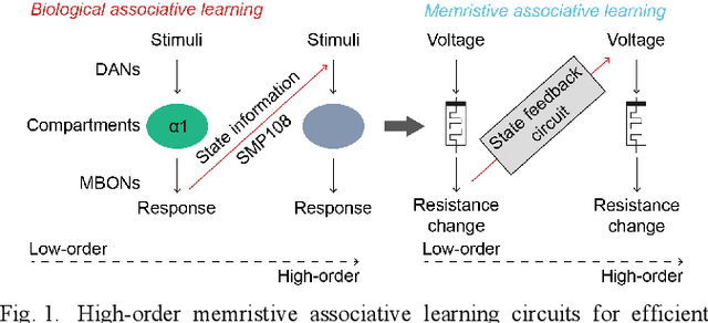 Figure 1 for High-Order Associative Learning Based on Memristive Circuits for Efficient Learning