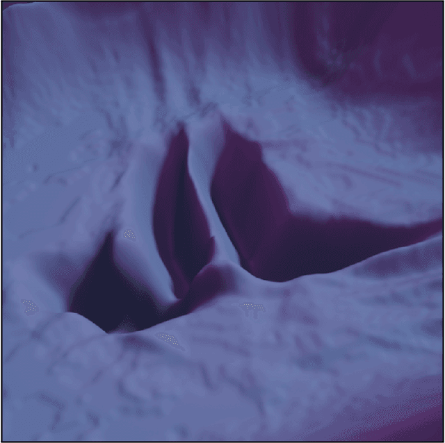 Figure 2 for Towards Practical Second-Order Optimizers in Deep Learning: Insights from Fisher Information Analysis