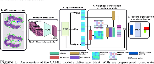 Figure 1 for CAMIL: Context-Aware Multiple Instance Learning for Whole Slide Image Classification