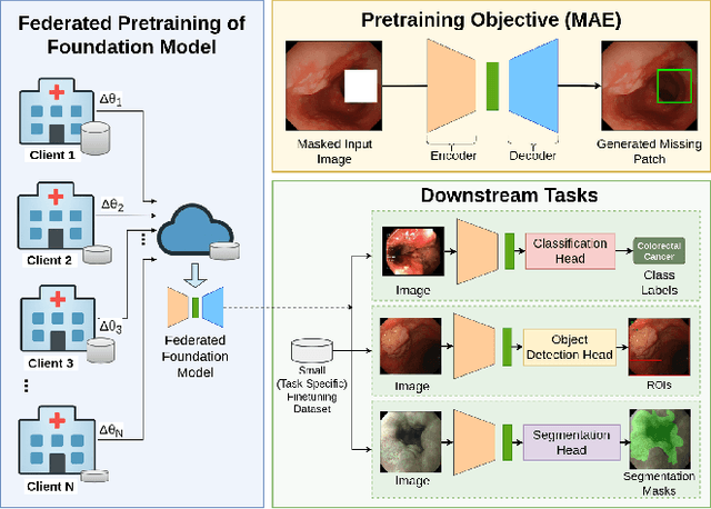 Figure 1 for Federated Foundation Model for GI Endoscopy Images