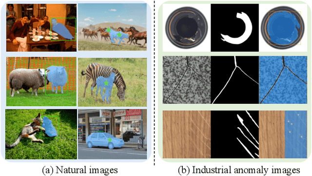 Figure 1 for Promptable Anomaly Segmentation with SAM Through Self-Perception Tuning