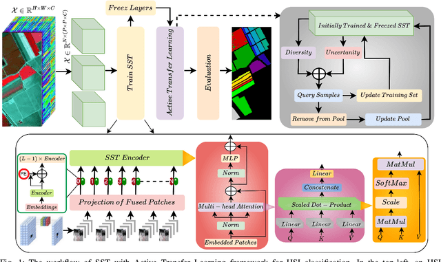 Figure 1 for Spectral-Spatial Transformer with Active Transfer Learning for Hyperspectral Image Classification