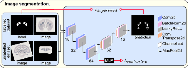 Figure 3 for An automated pipeline to create an atlas of in situ hybridization gene expression data in the adult marmoset brain