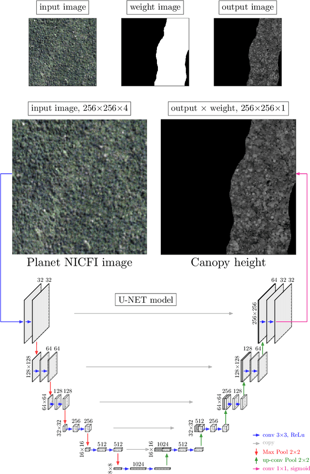 Figure 3 for High Resolution Tree Height Mapping of the Amazon Forest using Planet NICFI Images and LiDAR-Informed U-Net Model