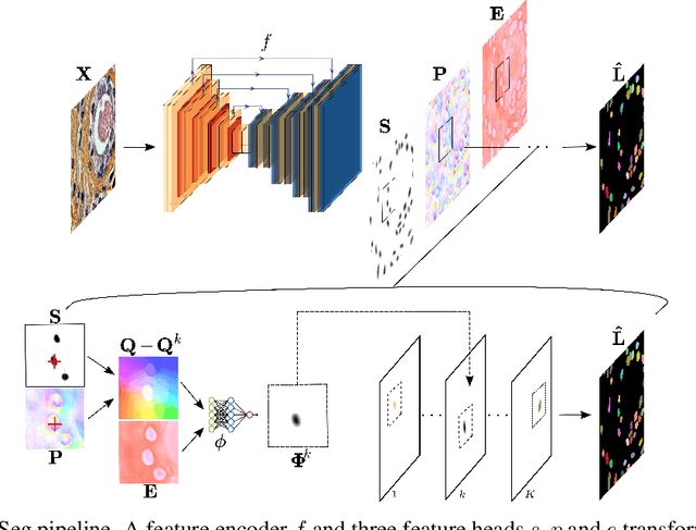 Figure 1 for InstanSeg: an embedding-based instance segmentation algorithm optimized for accurate, efficient and portable cell segmentation