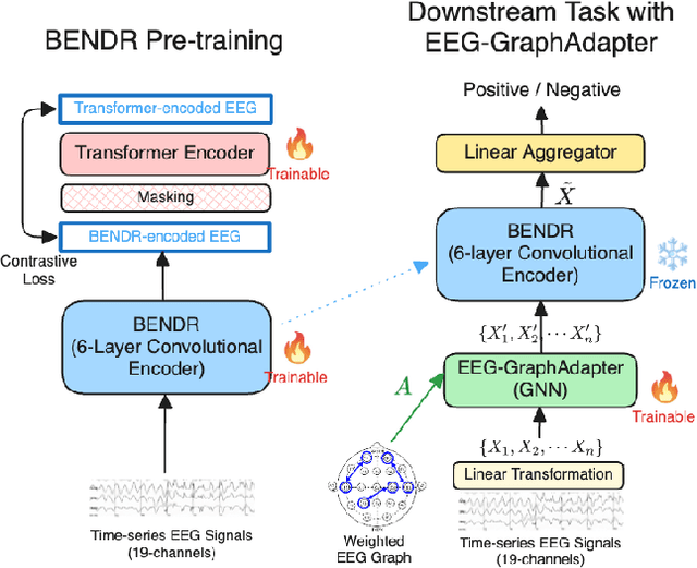 Figure 1 for Graph Adapter of EEG Foundation Models for Parameter Efficient Fine Tuning