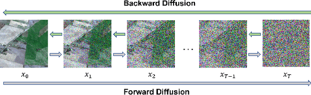 Figure 2 for Accelerating Diffusion for SAR-to-Optical Image Translation via Adversarial Consistency Distillation