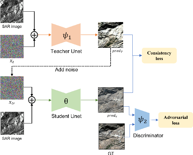 Figure 4 for Accelerating Diffusion for SAR-to-Optical Image Translation via Adversarial Consistency Distillation