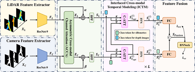 Figure 3 for LiCAF: LiDAR-Camera Asymmetric Fusion for Gait Recognition