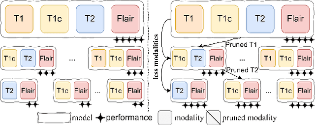 Figure 1 for CCSD: Cross-Modal Compositional Self-Distillation for Robust Brain Tumor Segmentation with Missing Modalities