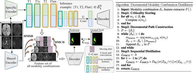 Figure 3 for CCSD: Cross-Modal Compositional Self-Distillation for Robust Brain Tumor Segmentation with Missing Modalities