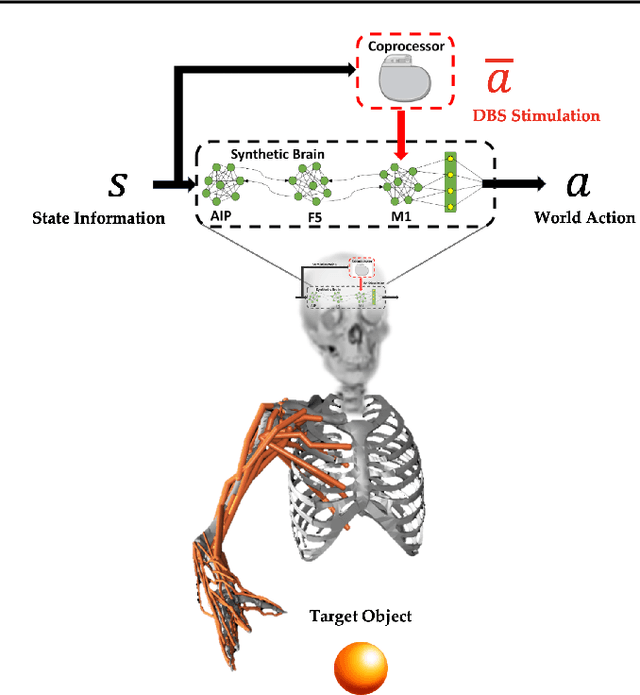 Figure 2 for Coprocessor Actor Critic: A Model-Based Reinforcement Learning Approach For Adaptive Brain Stimulation