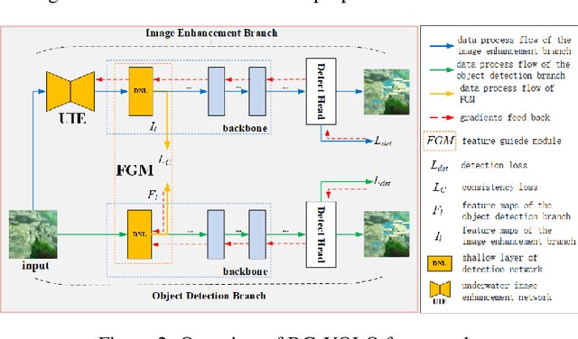 Figure 3 for BG-YOLO: A Bidirectional-Guided Method for Underwater Object Detection