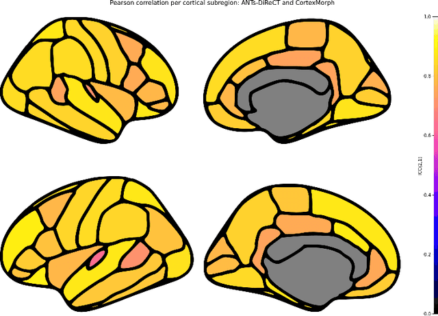 Figure 2 for CortexMorph: fast cortical thickness estimation via diffeomorphic registration using VoxelMorph