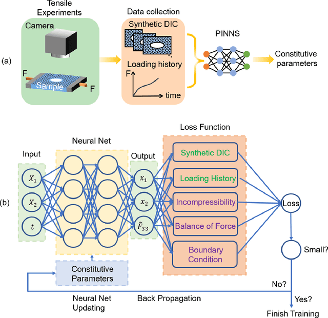 Figure 1 for Identifying Constitutive Parameters for Complex Hyperelastic Solids using Physics-Informed Neural Networks
