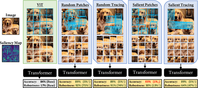 Figure 1 for Improving Robustness for Vision Transformer with a Simple Dynamic Scanning Augmentation