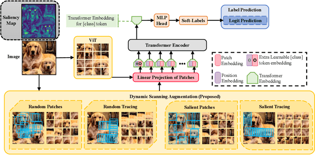Figure 3 for Improving Robustness for Vision Transformer with a Simple Dynamic Scanning Augmentation