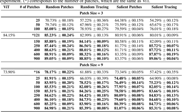 Figure 4 for Improving Robustness for Vision Transformer with a Simple Dynamic Scanning Augmentation