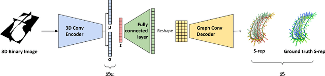 Figure 2 for Fitting Skeletal Models via Graph-based Learning