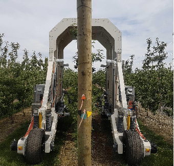 Figure 1 for Seeing the Fruit for the Leaves: Robotically Mapping Apple Fruitlets in a Commercial Orchard