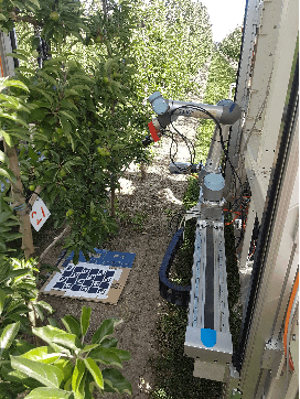 Figure 2 for Seeing the Fruit for the Leaves: Robotically Mapping Apple Fruitlets in a Commercial Orchard