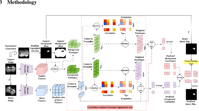 Figure 1 for Correlation Weighted Prototype-based Self-Supervised One-Shot Segmentation of Medical Images