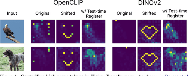 Figure 1 for Vision Transformers Don't Need Trained Registers