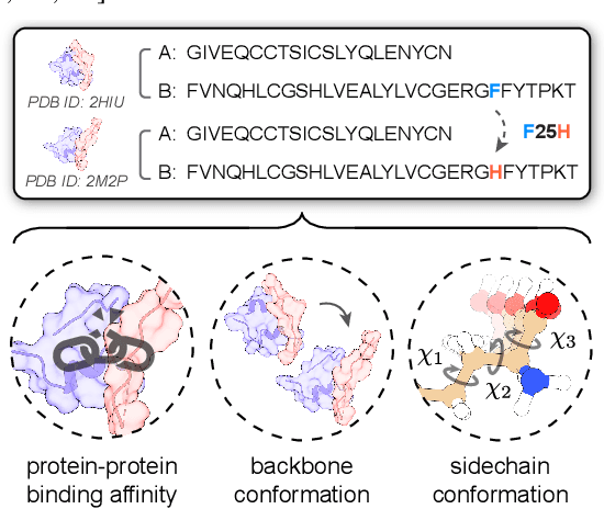 Figure 1 for Multi-level Interaction Modeling for Protein Mutational Effect Prediction