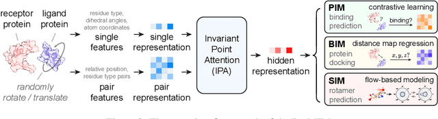 Figure 3 for Multi-level Interaction Modeling for Protein Mutational Effect Prediction