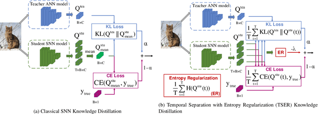 Figure 1 for Temporal Separation with Entropy Regularization for Knowledge Distillation in Spiking Neural Networks