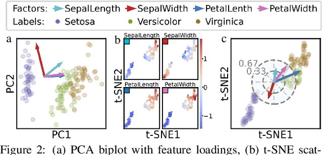 Figure 1 for Feature Clock: High-Dimensional Effects in Two-Dimensional Plots