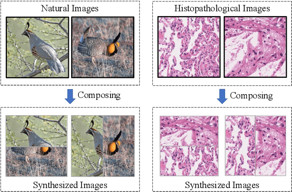 Figure 4 for HisynSeg: Weakly-Supervised Histopathological Image Segmentation via Image-Mixing Synthesis and Consistency Regularization