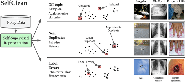 Figure 1 for SelfClean: A Self-Supervised Data Cleaning Strategy