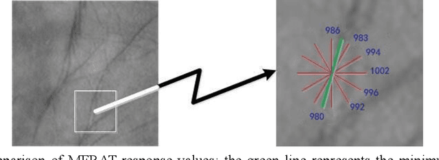 Figure 3 for Composite Fixed-Length Ordered Features for Palmprint Template Protection with Diminished Performance Loss