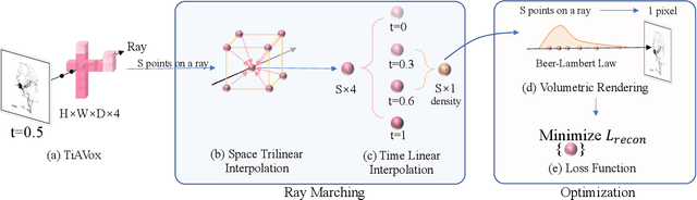 Figure 2 for TiAVox: Time-aware Attenuation Voxels for Sparse-view 4D DSA Reconstruction