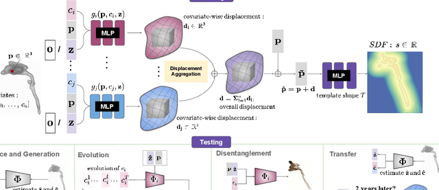 Figure 2 for NAISR: A 3D Neural Additive Model for Interpretable Shape Representation