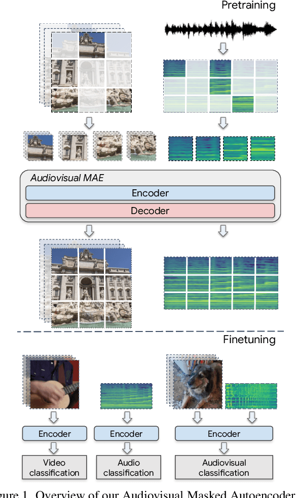 Figure 1 for Audiovisual Masked Autoencoders