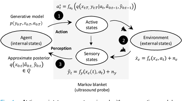 Figure 1 for Active inference and deep generative modeling for cognitive ultrasound