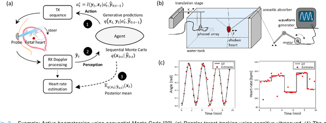 Figure 3 for Active inference and deep generative modeling for cognitive ultrasound