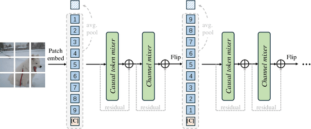 Figure 1 for Causal Image Modeling for Efficient Visual Understanding