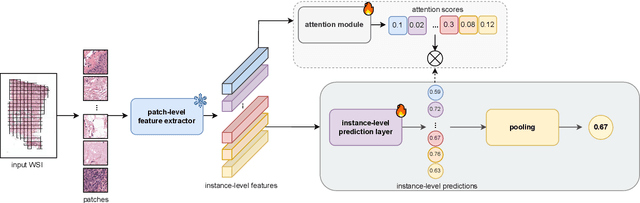 Figure 4 for "No negatives needed": weakly-supervised regression for interpretable tumor detection in whole-slide histopathology images