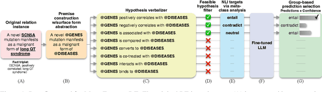 Figure 1 for Entangled Relations: Leveraging NLI and Meta-analysis to Enhance Biomedical Relation Extraction