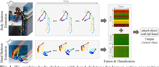 Figure 1 for Fusing Hand and Body Skeletons for Human Action Recognition in Assembly