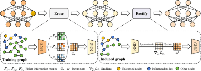 Figure 1 for Erase then Rectify: A Training-Free Parameter Editing Approach for Cost-Effective Graph Unlearning