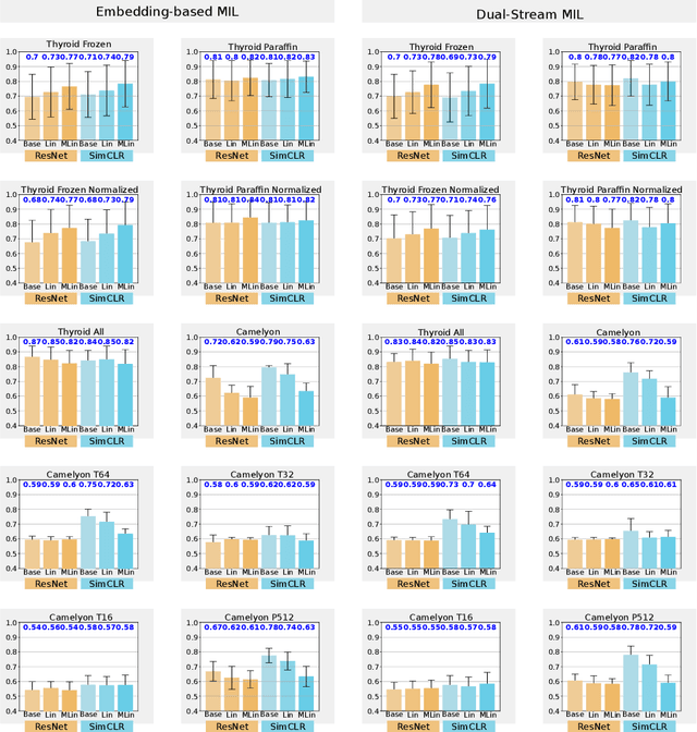 Figure 2 for MixUp-MIL: A Study on Linear & Multilinear Interpolation-Based Data Augmentation for Whole Slide Image Classification