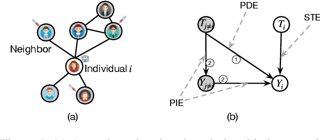 Figure 1 for Estimating Peer Direct and Indirect Effects in Observational Network Data